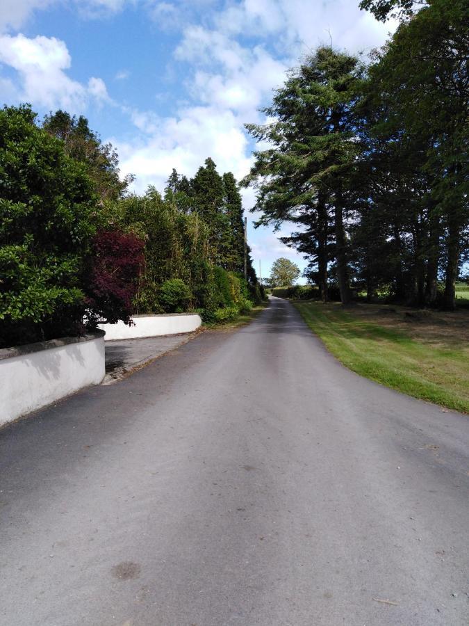 Blackmoor Farm Hotel Narberth Exterior photo